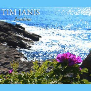 Download track High Sierra Tim Janis