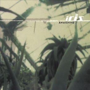 Download track When I'm Not Around Iris