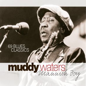 Download track Rollin' And Tumblin', Part 1 Muddy Waters
