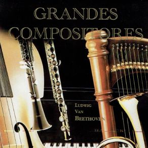 Download track Symphony No. 5 In C Minor, Op. 67: II. Andante Con Moto Radio Symphony Orchestra Ljubljana