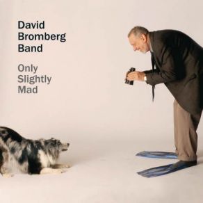 Download track I'll Take You Back David Bromberg