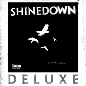Download track The Energy Shinedown