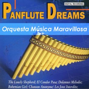 Download track David's Song Orquesta Música Maravillosa