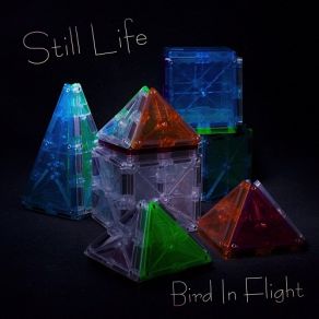 Download track Searching For A Sound Bird In Flight