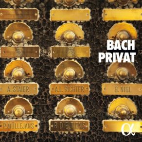 Download track Prelude In D Major, BWV 936 Andreas Staier, Petra Müllejans, Roel Dieltiens, Anna Lucia Richter, Georg Nigl