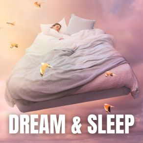 Download track Any Lesson Sleepy Sounds