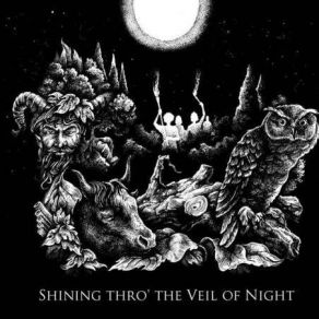 Download track Waiting For A Night Sunset Wings