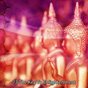 Download track Capture Happiness Ambient Forest