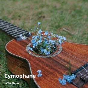 Download track Dancing With Your Ghost Vibe Relax