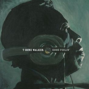 Download track When I Grow Up T - Bone Walker