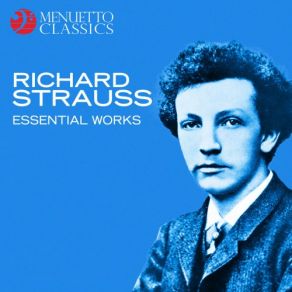 Download track Don Quixote, Op. 35 I. Introduction. Don Quixote Sinks Into Madness Richard Strauss