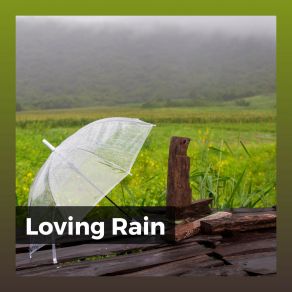 Download track Rain Playlist Rain For Deep Sleep