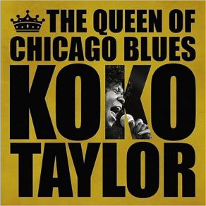 Download track I Got What It Takes Koko Taylor
