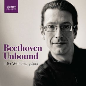 Download track Variations In C Major On A Waltz By Diabelli, Op. 120,