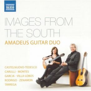Download track 7. Ferdinando Carulli: Serenade In A Major Op. 96 No. 1 - II. Allegro Moderato Amadeus Guitar Duo