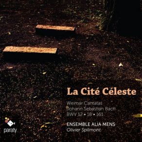 Download track Weinen, Klagen, Sorgen, Zagen, BWV 12 III. Recitativo Wir Müssen Durch Viel Trübsal Ensemble Alia Mens, Olivier Spilmont