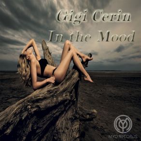 Download track It Won't Be Easy Pierluigi Cerin