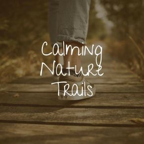 Download track When Does A Rainbow Occur In Nature Worldwide Nature Studios