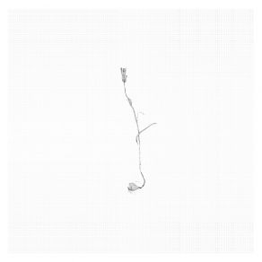 Download track Consolation No. 3 In D-Flat Major Yehezkel Raz