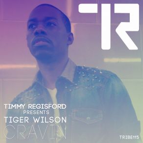 Download track Cravin (Instrumental) Timmy Regisford, Tiger Wilson