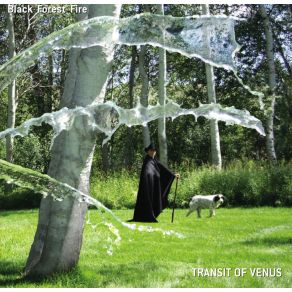 Download track August Spring Black Forest Fire