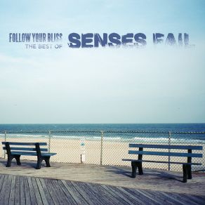 Download track Can'T Be Saved Senses Fail