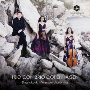 Download track Arensky: Piano Trio No. 1 In D Minor, Op. 32: I. Allegro Moderato Trio Con Brio Copenhagen