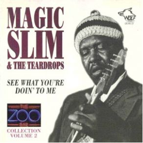 Download track Teardrop Magic Slim, The Teardrops