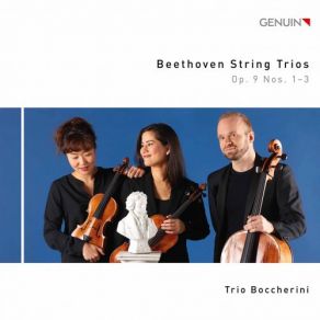 Download track String Trio In C Minor, Op. 9 No. 3: III. Scherzo. Allegro Molto E Vivace Trio Boccherini