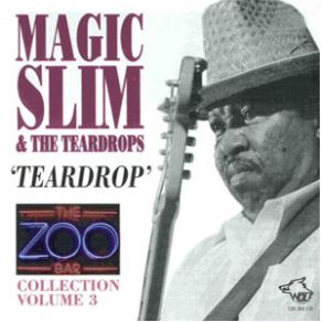 Download track See What You'Re Doin' To Me Magic Slim