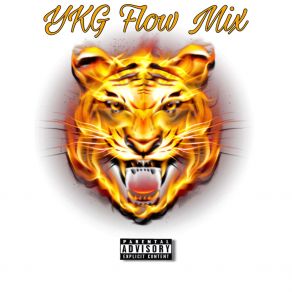 Download track YKG Flow 1 YKG BabyStraight Facts