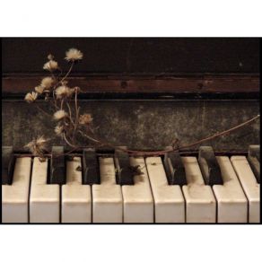 Download track 24 - Prelude And Fugue No 24 In D Minor Shostakovich, Dmitrii Dmitrievich