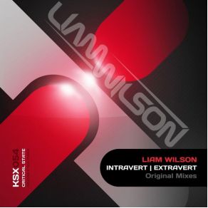 Download track Introvert (Original Mix) Liam Wilson