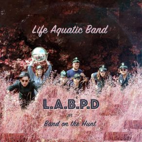 Download track Let's Go For A Ride Life Aquatic Band