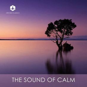 Download track 08. Bach- Partita No. 1 In B-Flat Major, BWV 825- I. Prelude (Arr. For Piano) Various Artists