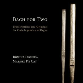 Download track Organ Sonata IV In E Minor, BWV 528: III. Un Poco Allegro Marnix De Cat, Romina Lischka