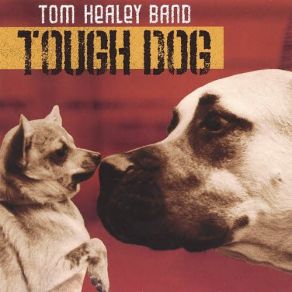 Download track I Ain't Cryin Tom Healey Band