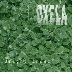 Download track Skinny Dipping Oxela
