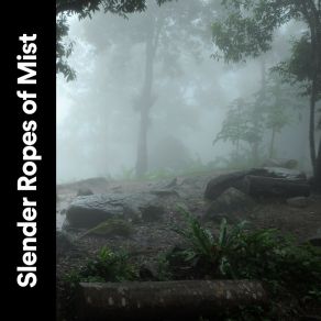 Download track Operating Rain Sounds