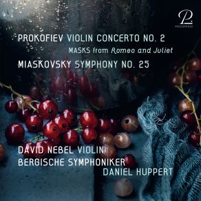 Download track Symphony No. 25 In D-Flat Major: III. Allegro Impetuoso - Adagio Con Elevazione David Nebel, Daniel Huppert, Bergische Symphoniker