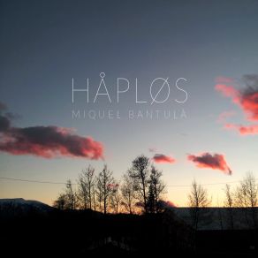 Download track November Miquel Bantulà