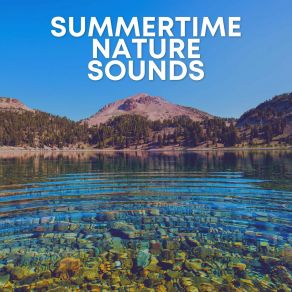 Download track When Does A Rainbow Occur In Nature Worldwide Nature Studios