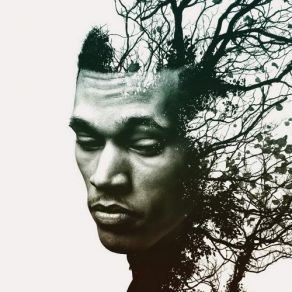Download track Rise Trip Lee
