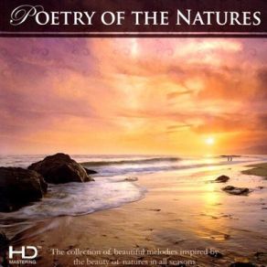 Download track Changing Partners Blue Seas Grand Orchestra