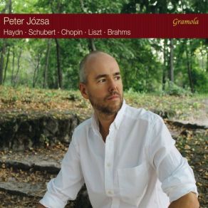 Download track Keyboard Sonata No. 47 In B Minor, Hob. XVI: 32: I. Allegro Moderato Péter Józsa