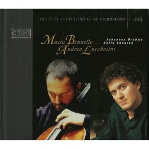Download track 04 Mario Brunello & Andrea Lucchesini - Sonata In Fa Magg. Op. 99 Per Violoncello E Pianoforte - I. Allegro Vivace Johannes Brahms