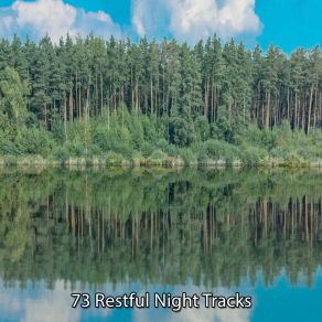 Download track Conclude Your Resolution Ambiente