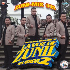 Download track Zuni-Mix De Merengue # 11: Oh Darling / Salvaje Marimba Orquesta La Voz De Zunil