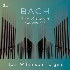 Download track 12. Organ Sonata No. 4 In E Minor, BWV 528 Trio III. Un Poco Allegro Johann Sebastian Bach