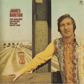 Download track Fools Rush In James Burton